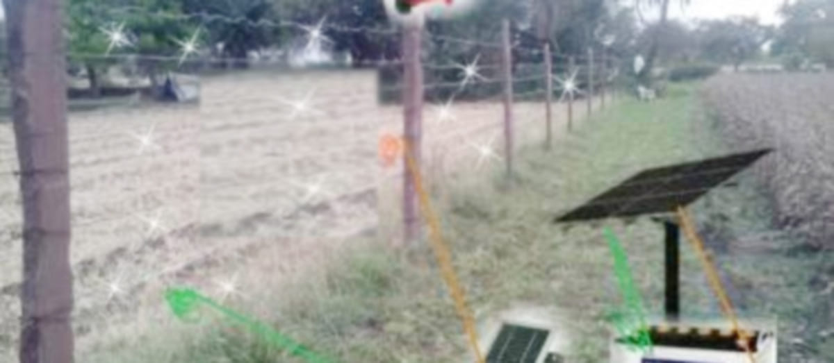 wire trapped in elderly womans death corpse rot for three days