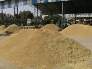 Paddy procurement has not, farmers are being cheated