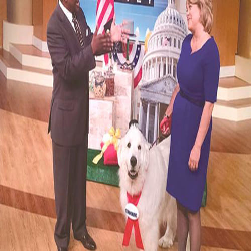 Dog elected mayor in Minnesota town