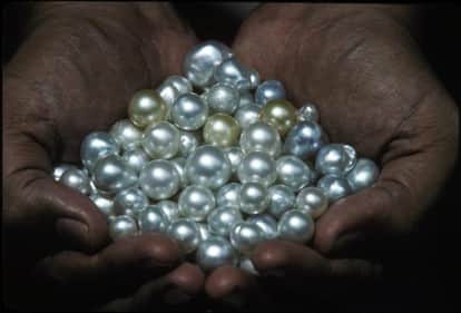 Farmer can earns lakhs by Pearl farming in India 