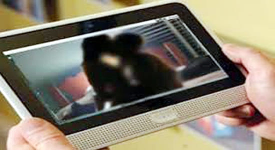 after sexual abuse of neighbor rape video