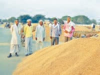 rice price, high, 200 rupee hipe, kaithal