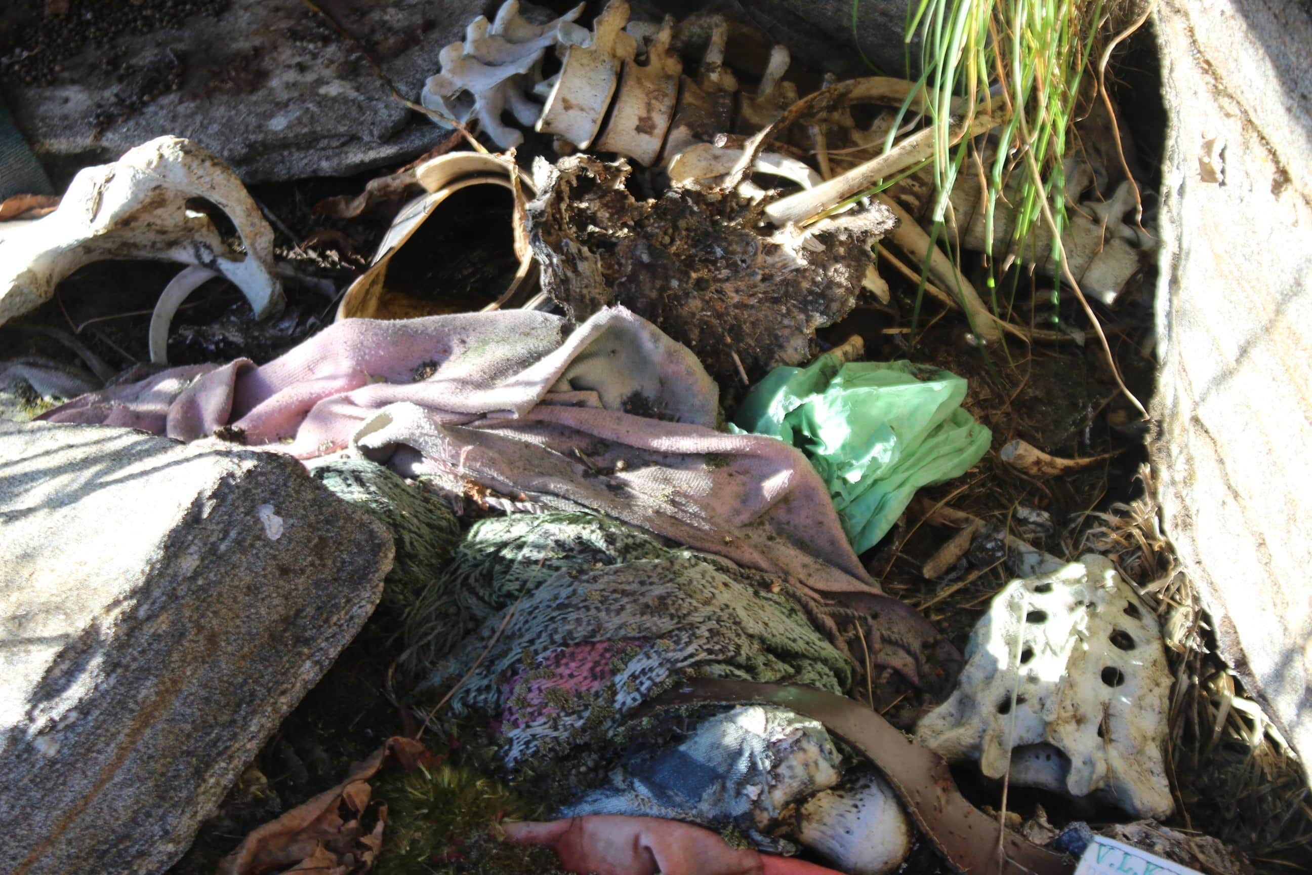 Horrible story of kedarnath disaster