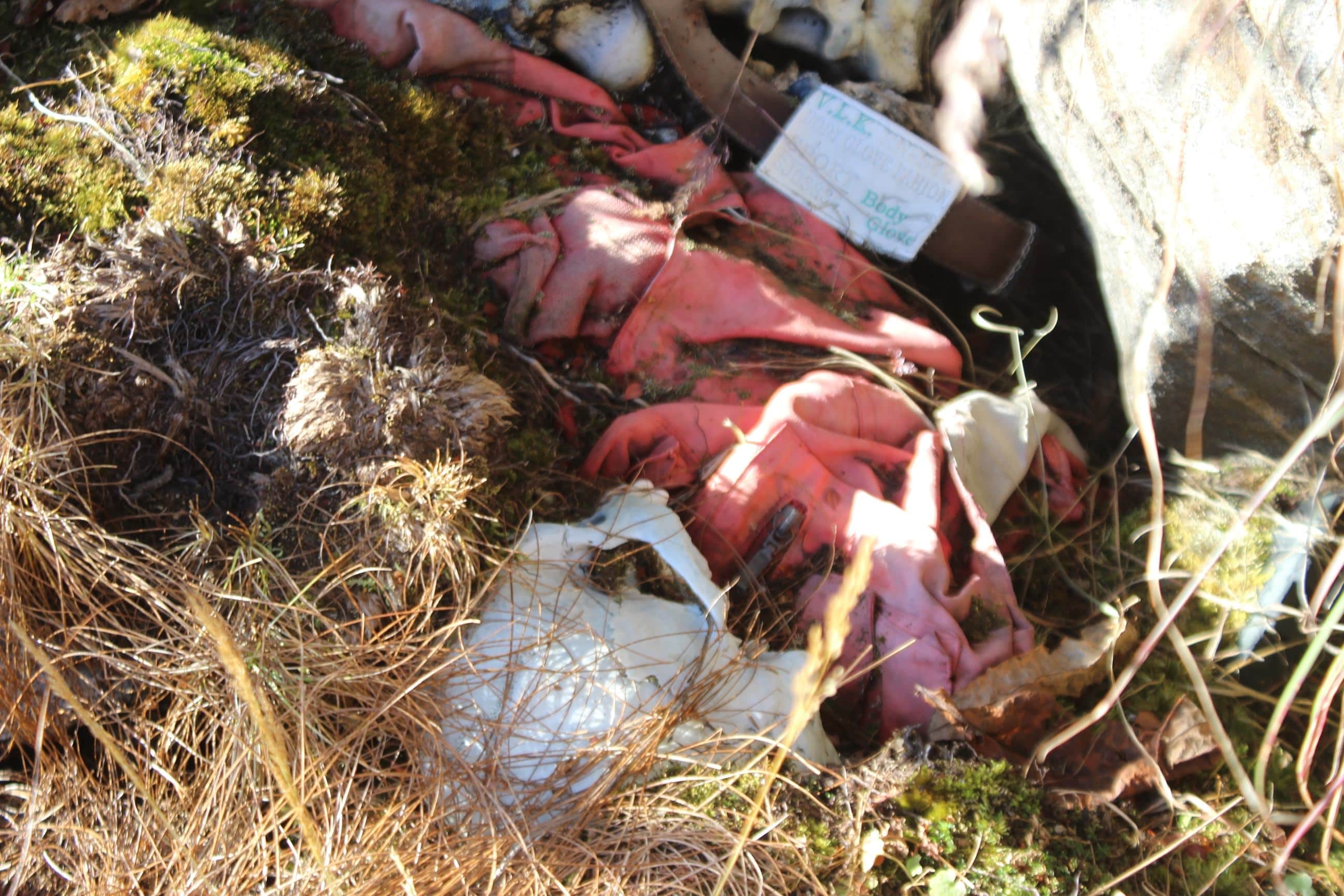 Horrible story of kedarnath disaster