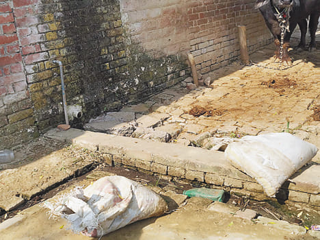 Kutlupur weeds, houses do not burn the stove