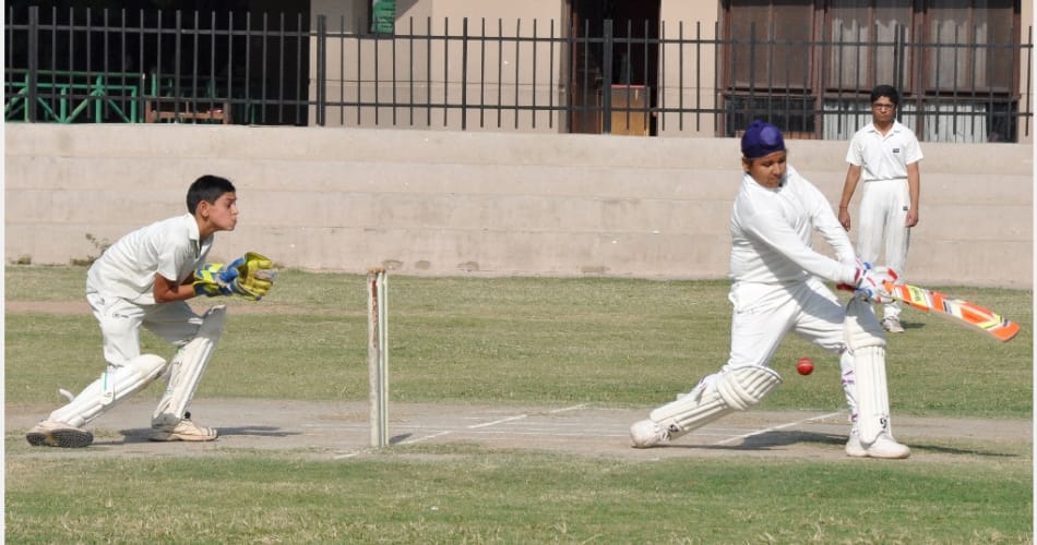 Panchkula little champ cricket tournament organised by amarujala 