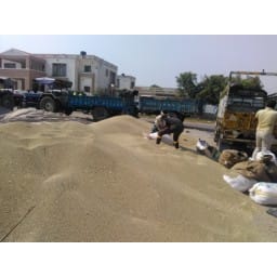 jhajjar, crime, god, give. goverment not take, jhajjar news