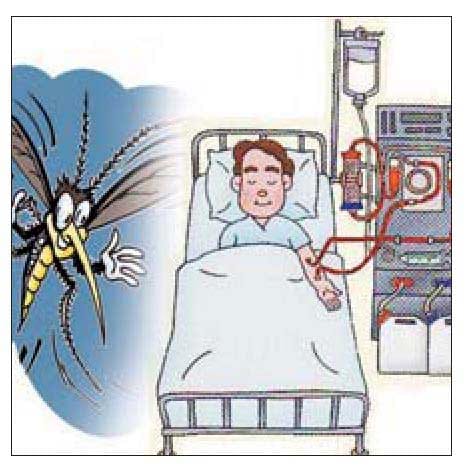 Fever claimed four in the West End Colony