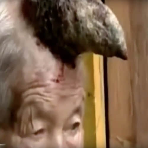  woman who has a HORN on her head