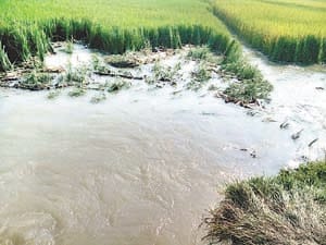 MINER CUT, WATER ENTERED FORMS