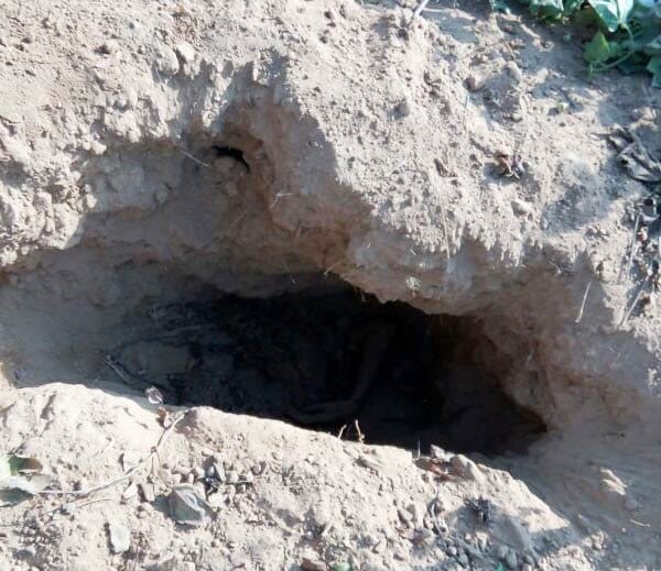 pregnant girl friend killed by lover and buried in farms of village near sirsa of haryana