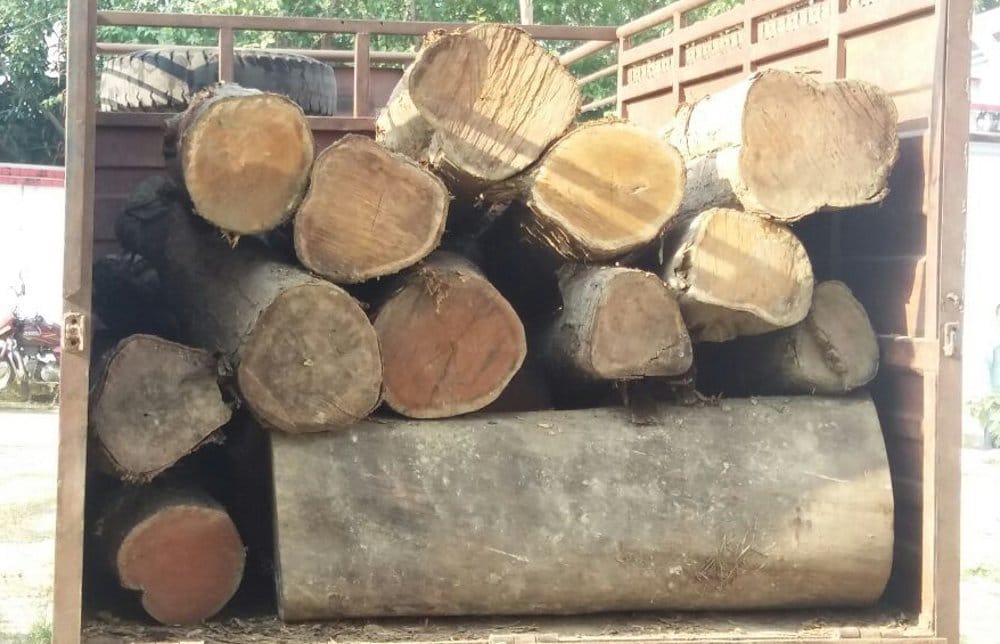 two smugler caught with wood