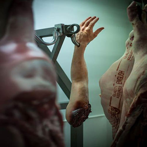 Human body parts fall from sky 