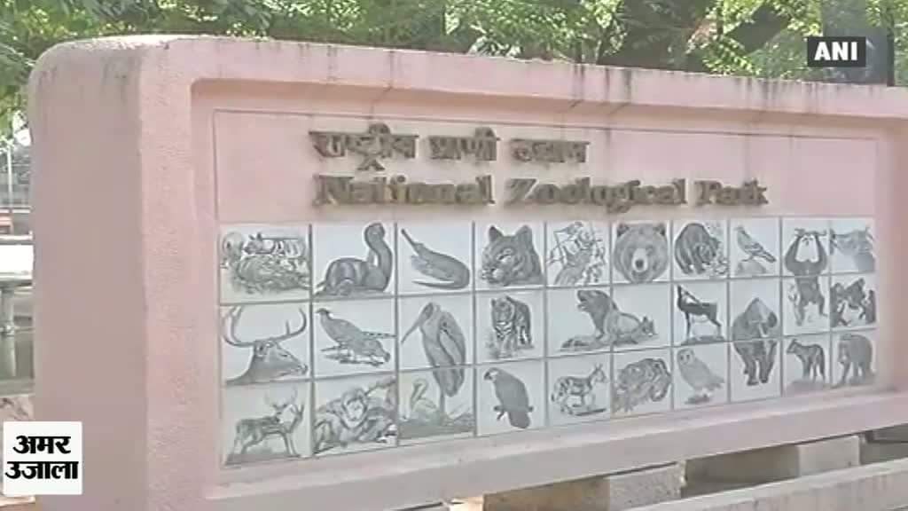 दिल्ली चिड़ियाघर को दर्शकों के लिए बंद 