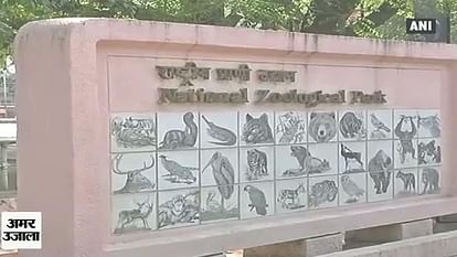 Delhi zoo closed for visitors post bird flu deaths