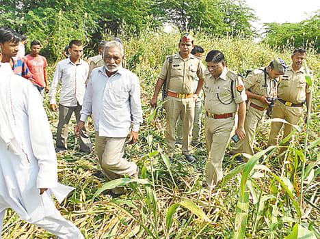 brutal murder girl found scattered in field hamirpur