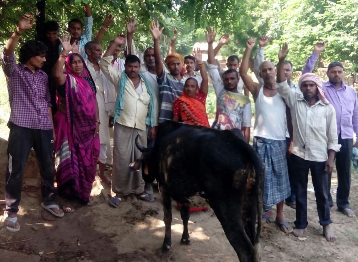 action on Pankaj Baba