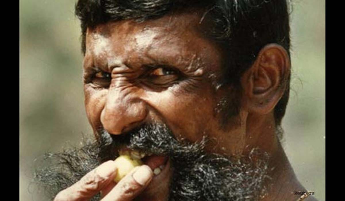 veerappan was the most wanted accused in south india