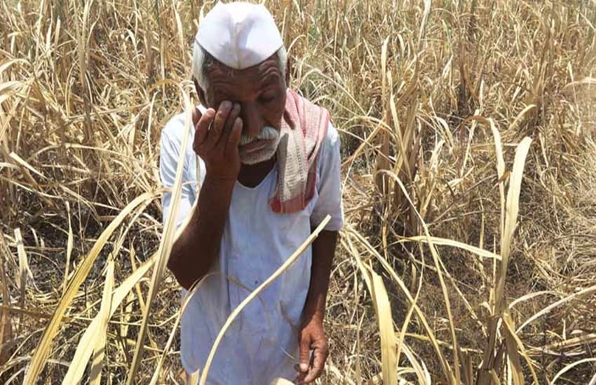 farmers waiting for compensation officers grabbed money