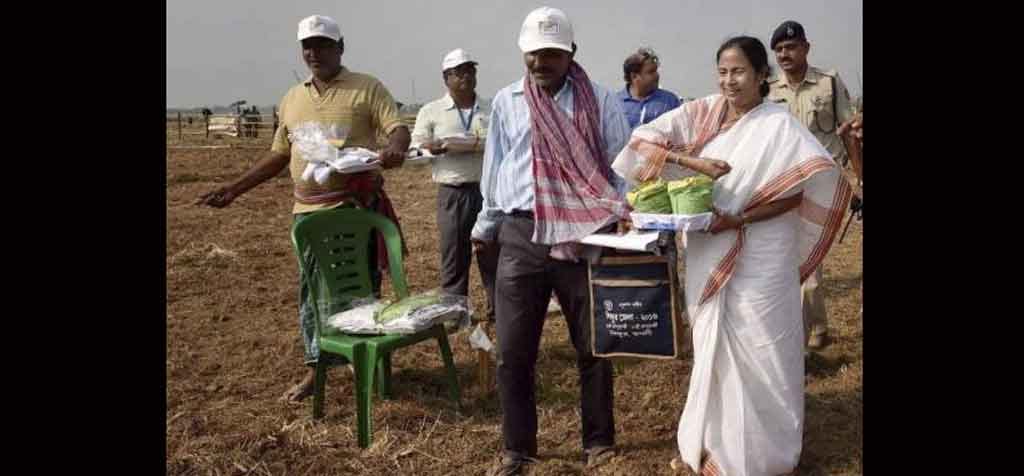 Farming resumes in Singur after a decade