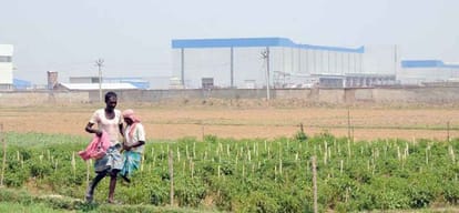 Farming resumes in Singur after a decade