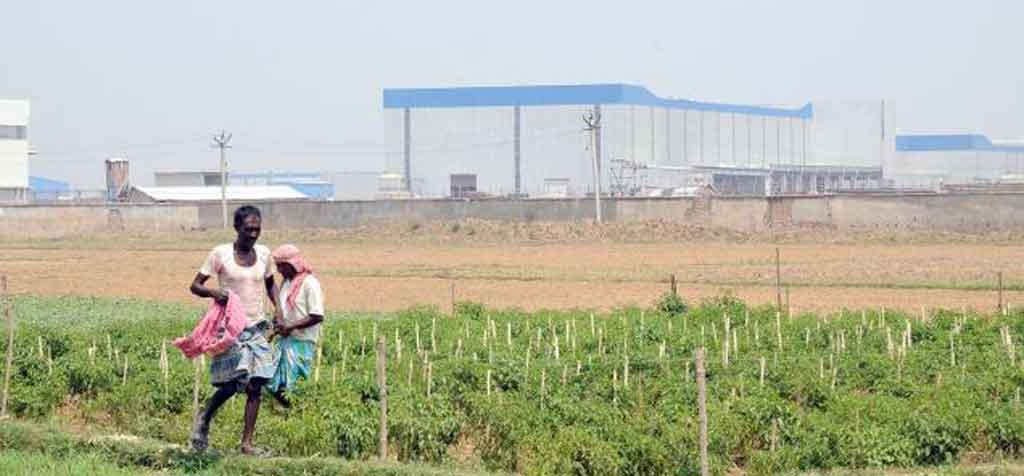 chandigarh, brave daughter lady farmer amarjeet kaur inspirational story