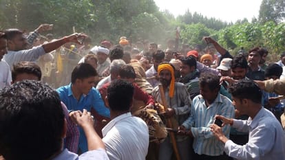 most wanted maneater tigress killed