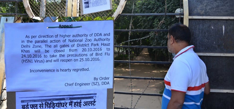 bird flu spreading in delhi, after delhi zoo hauz khas dear park also shut