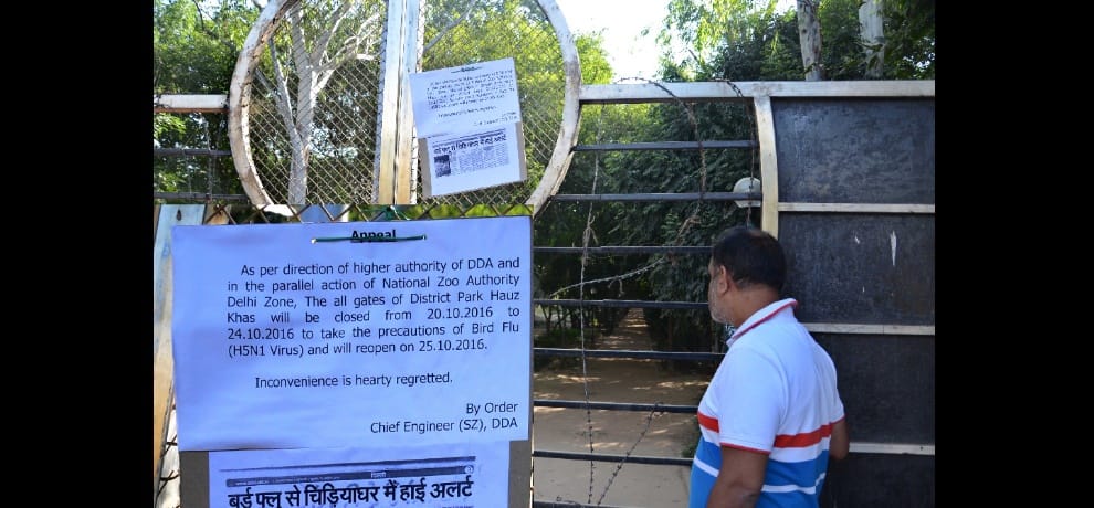 bird flu spreading in delhi, after delhi zoo hauz khas dear park also shut