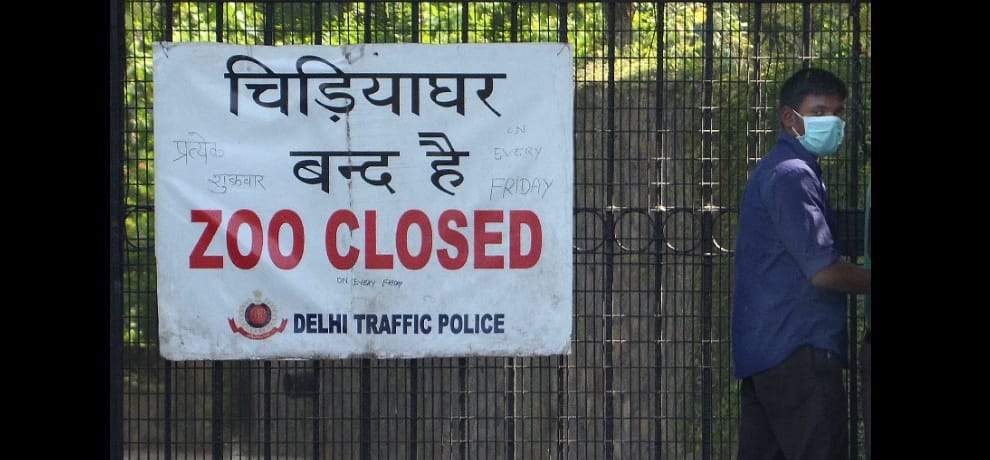 Again a death of a bird in zoo