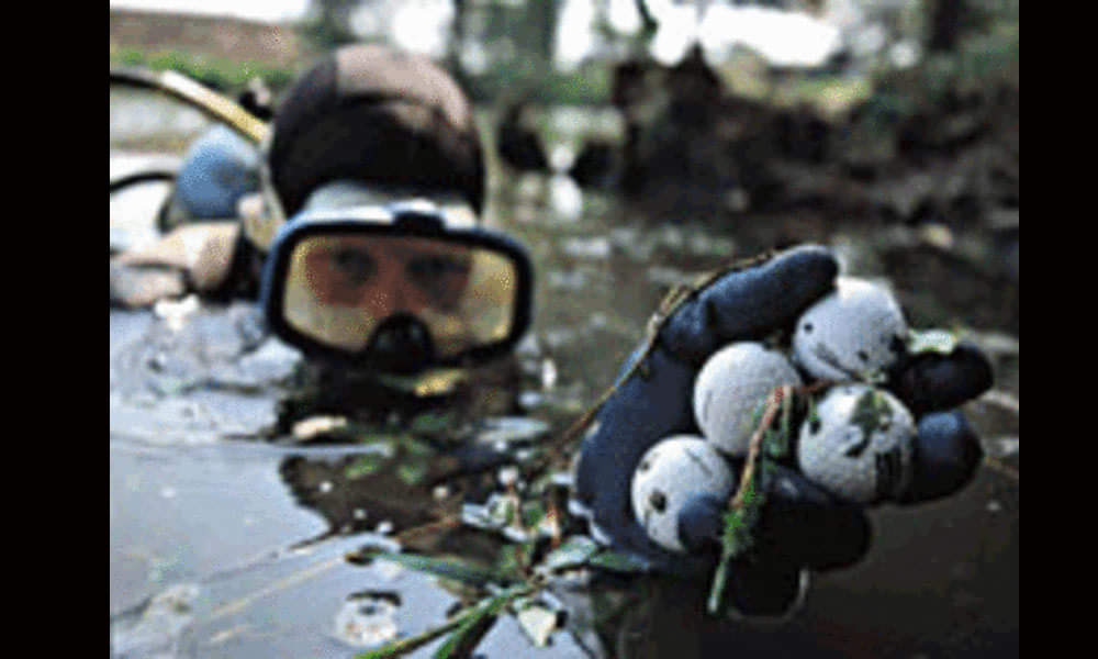 Odd Jobs with High Salaries 