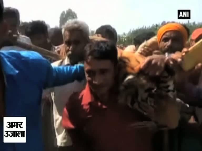 इस बाघिन को मारने में खर्च हो गए एक करोड़ रुपये 