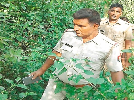 Firozabad and misleading police dehat