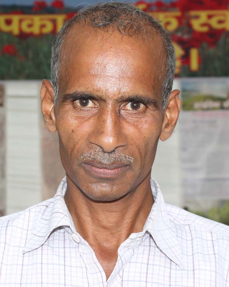 Simbhaoli-Brajnathpur sugar cane to the mill will not
