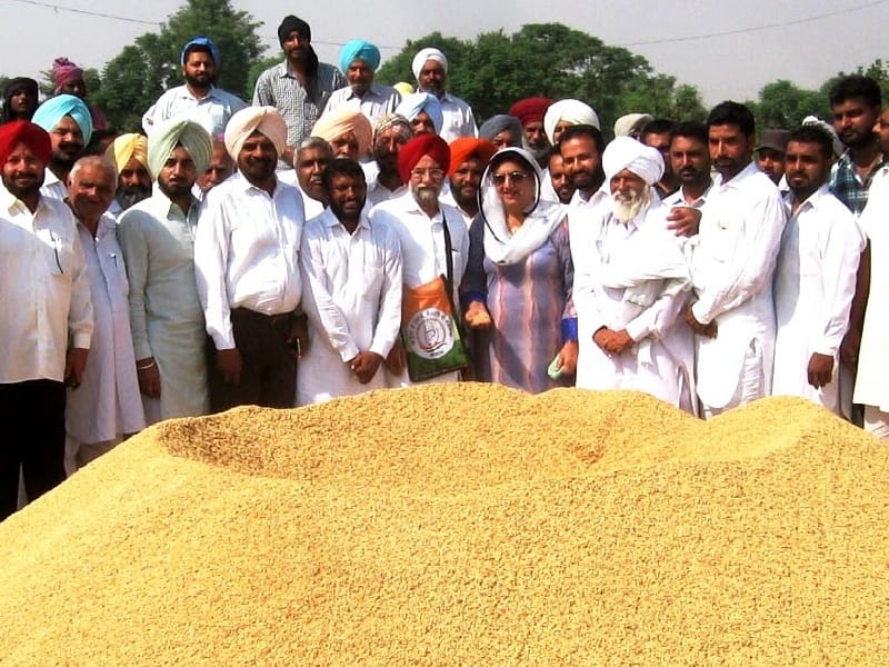 Punjab farmers, forced to sell grain markets of Haryana, the Congress,  Sangrur