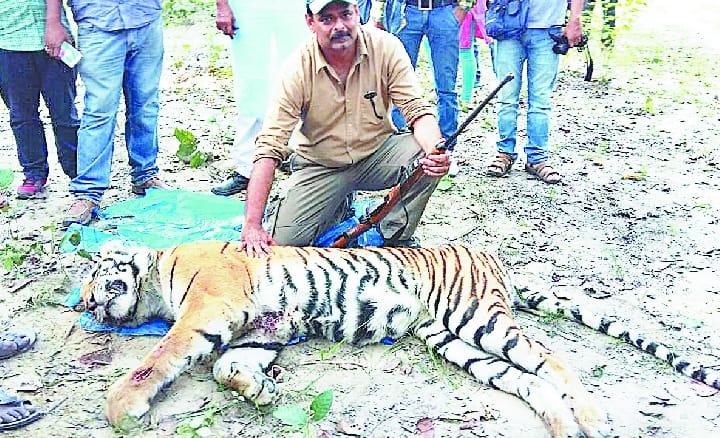 It was necessary to kill wildlife