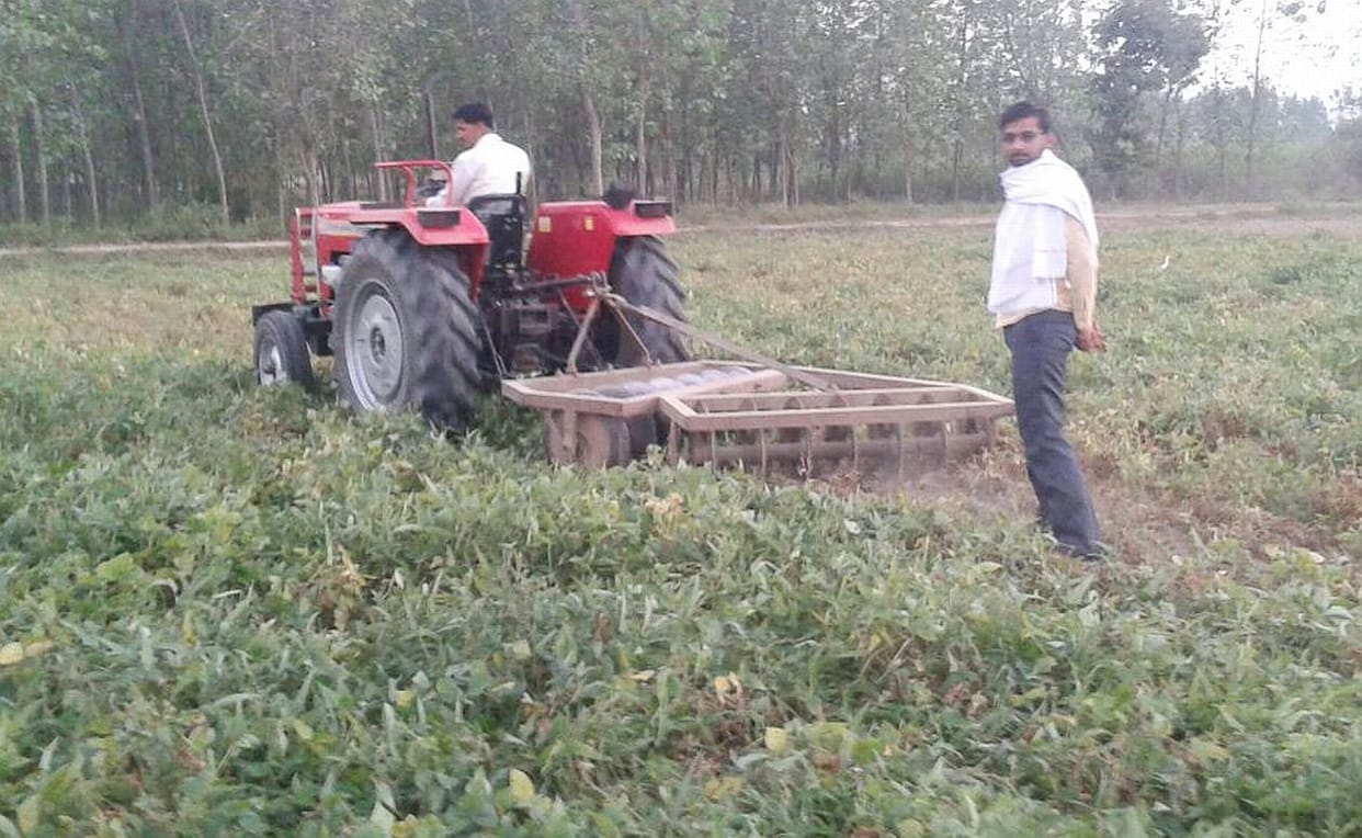 crop insurence hisar, hisar