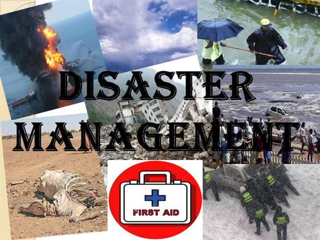 The action plan focuses on disaster committees