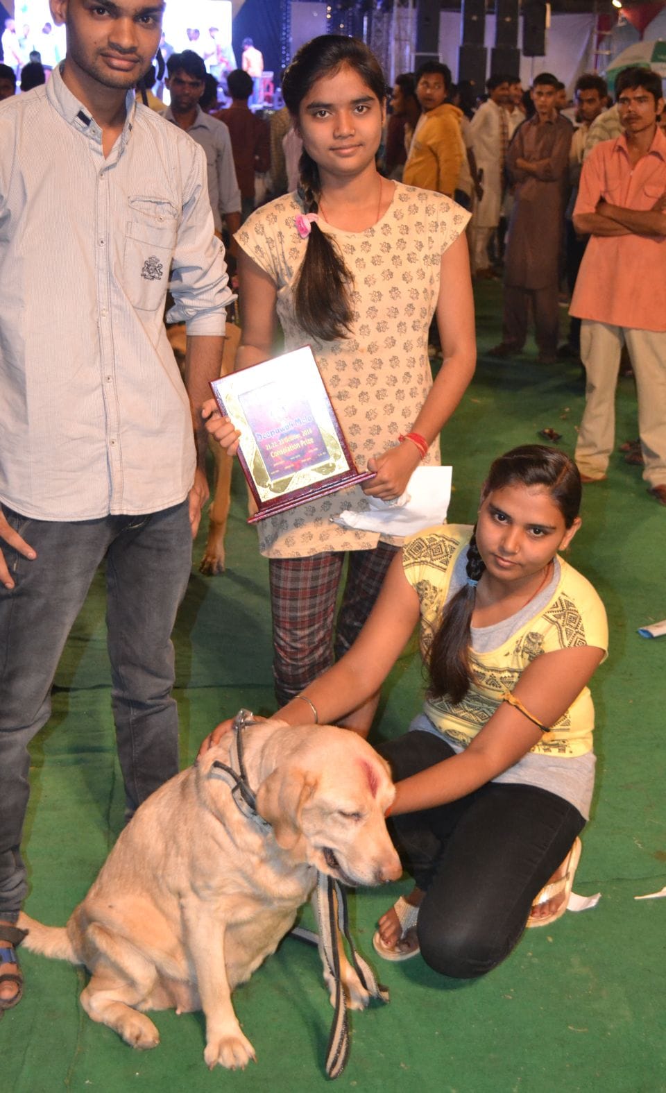 Increase the charm of the Diwali Mela Dog Show