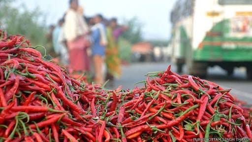 girls death body in chili packet 
