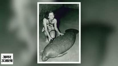 68 YEARS OLD SNOOTY TO IN GUINNESS BOOK OF WORLD RECORD FOR SECOND TIME