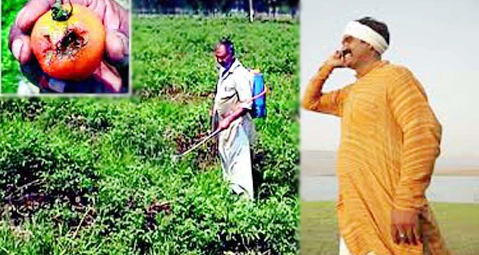  good news for farmers crop diseases get rid of this website