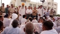 agriculture, survey, report, crops, demolish, gohana, sonipat