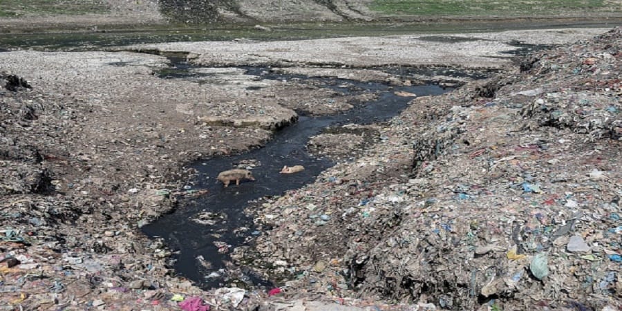 NGT:unscientific approach cause for chaos in Ganga