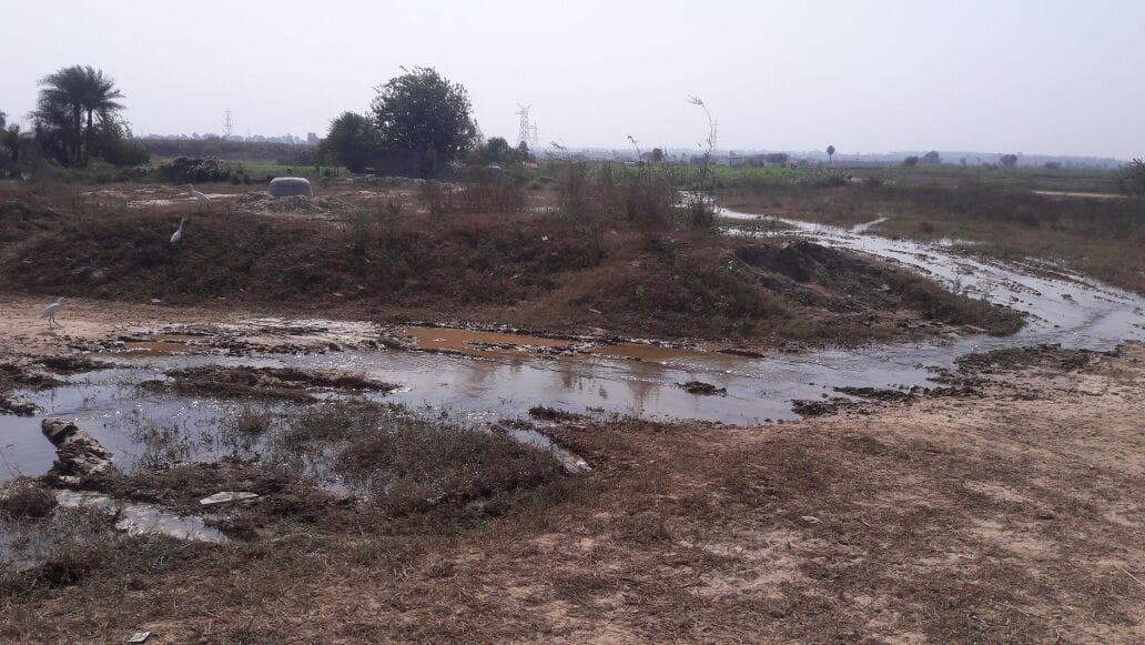 Rajnagar Extension waste water contaminated vegetables