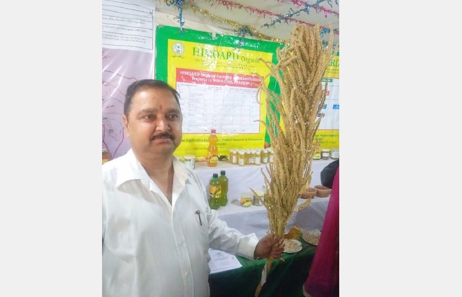 Qunova Plants seeds is Very Effective in Hypertension.