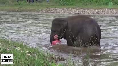 elephant saves life of his trainer
