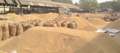 Paddy procurement stalled, officials Mast, stricken farmers