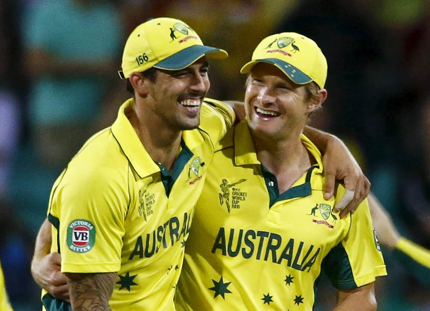 Shane Watson Stuck My Head In Toilet In Adelaide Says Mitchell Johnson