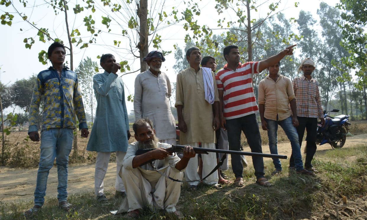 villagers search dogs for kill